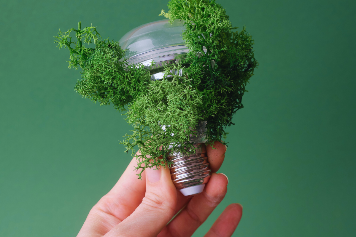 Sustainability in Printing How Green Print Supplies is Leading the Way Green Print Supplies Blogpost